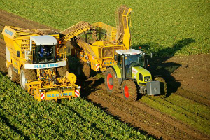 La pression de l’industrie sucrière s’intensifie en amont d’un vote au Parlement